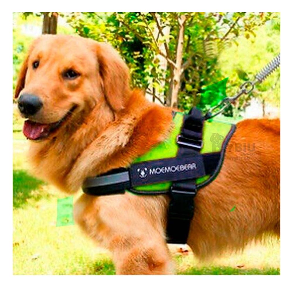 Arnes para Perros Activos Talla M de Color Verde