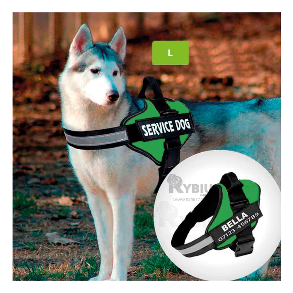 Arnes Pechera Service Dog Talla L Confiable de Tono Verde