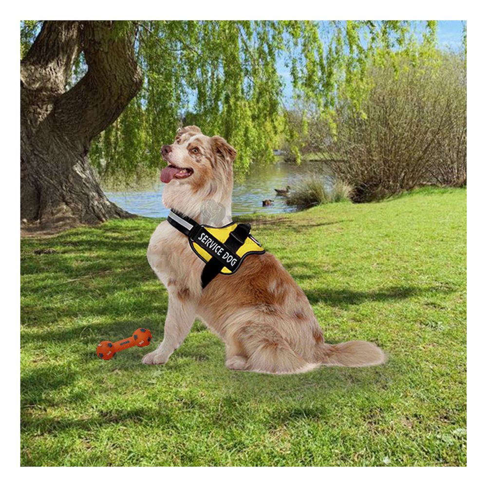 Arnes Pechera Service Dog Talla M Coloracion en Amarillo