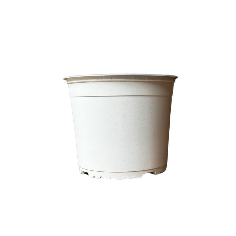 Maceta para Siembra 14