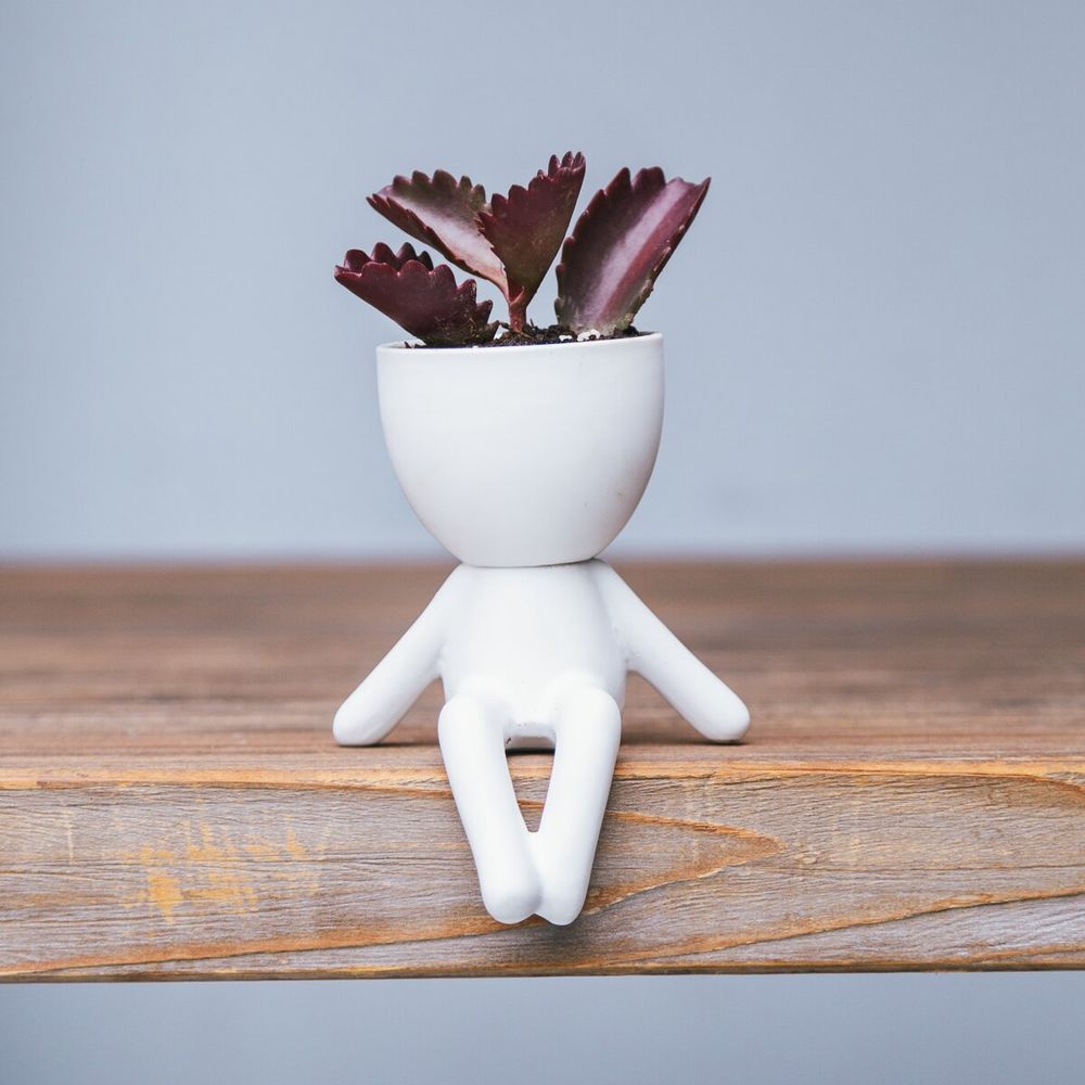 Maceta de Cerámica Figura Blanco Mate 11 x 11 cm.