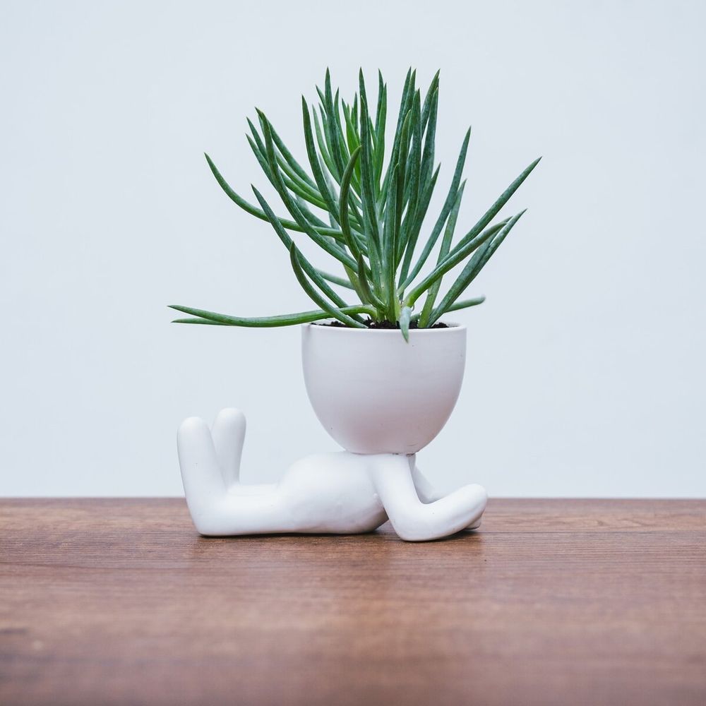 Maceta de Cerámica Figura Blanco Mate 12 x 9 cm.