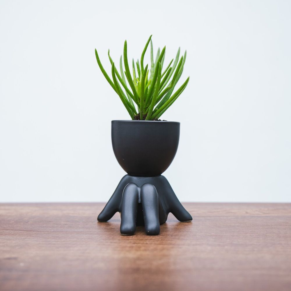 Maceta de Cerámica Figura Negro Mate 9.5 x 10 cm.