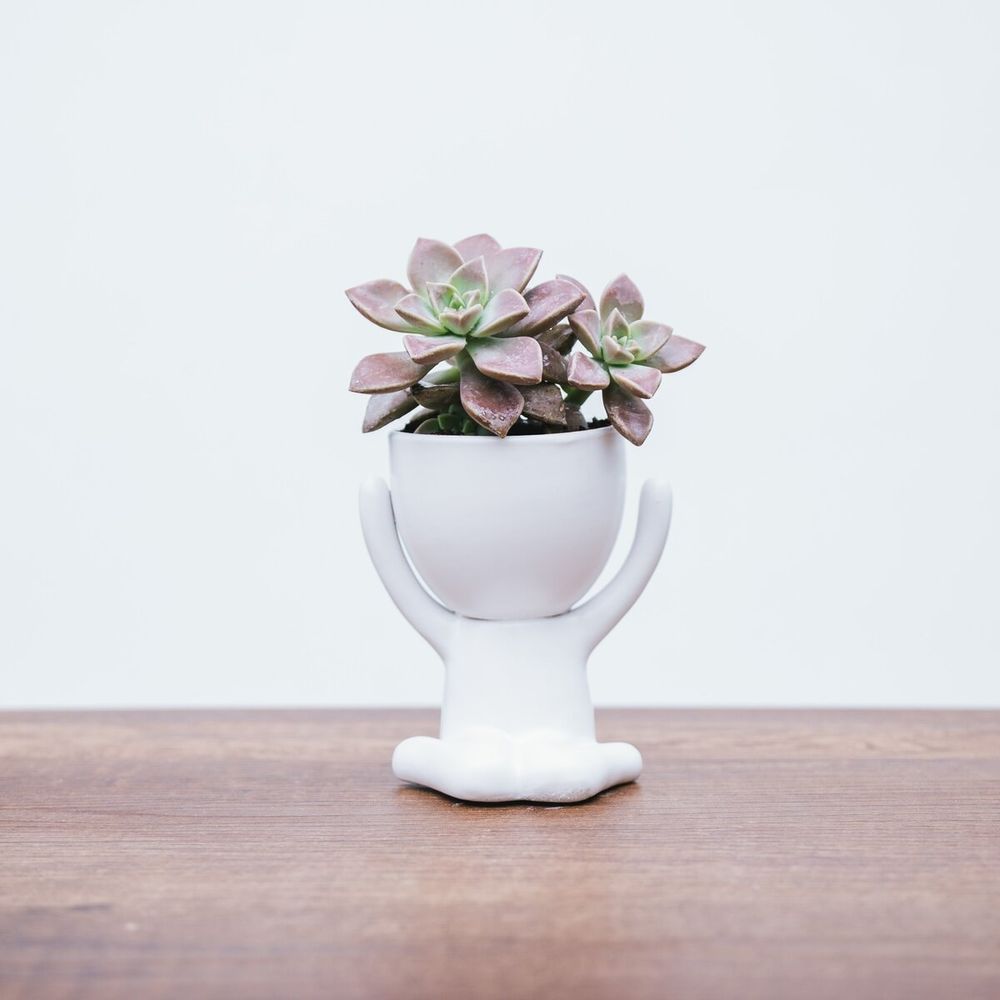 Maceta de Cerámica Figura Blanco Mate 9.5 x 10 cm.