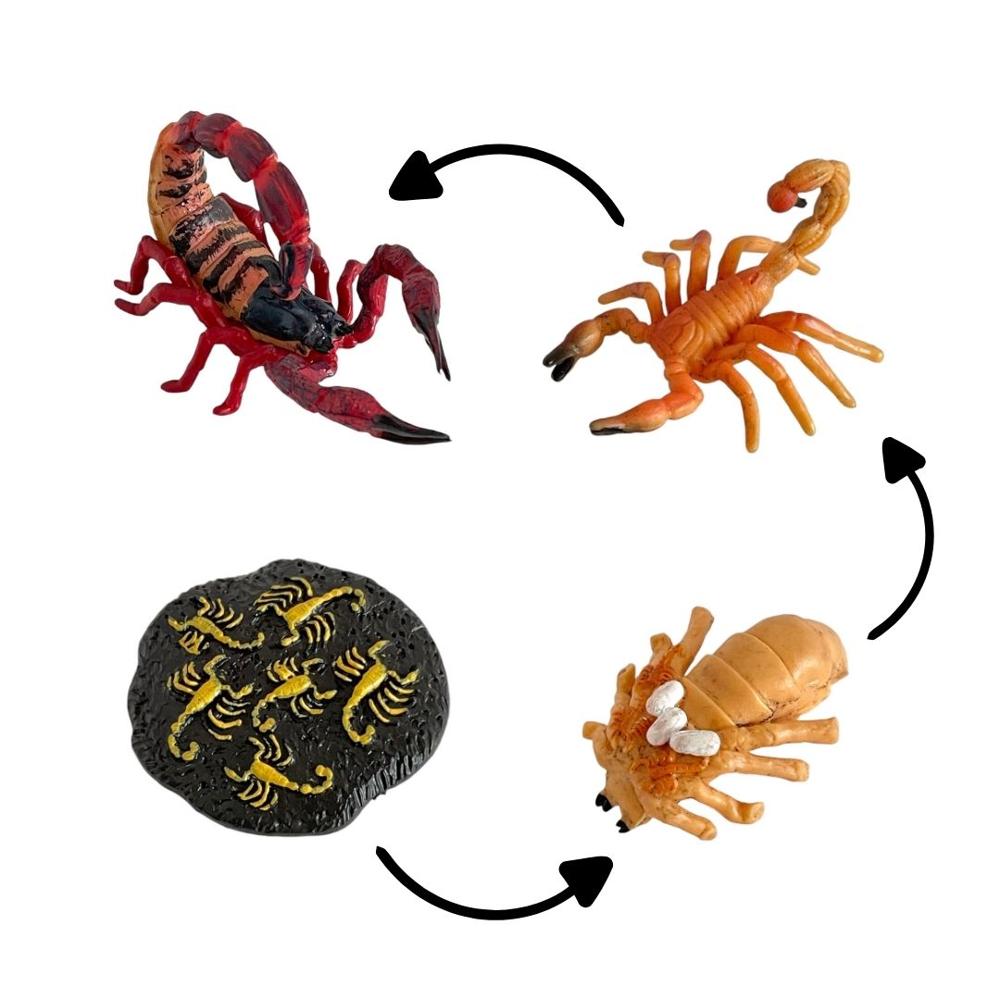 image-86af50a5e21545aeb88fd2ecb17b9447 image-86af50a5e21545aeb88fd2ecb17b9447