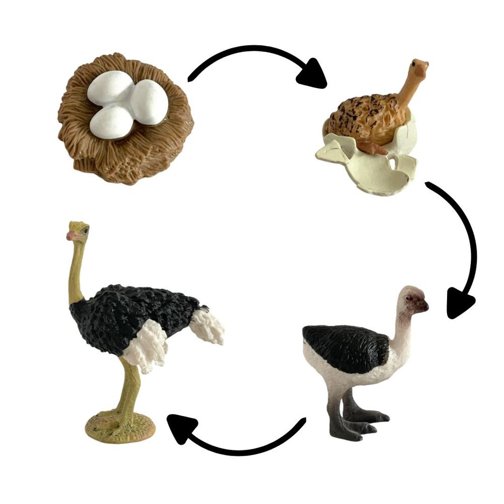 image-a949d0b53a464aed8874194e36d5b0c4 image-a949d0b53a464aed8874194e36d5b0c4