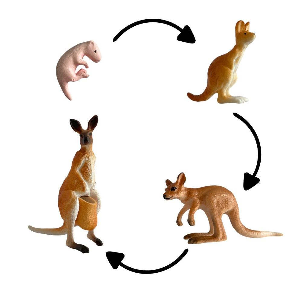 image-aff1caa70b9c4d649643af7e80d69db5 image-aff1caa70b9c4d649643af7e80d69db5