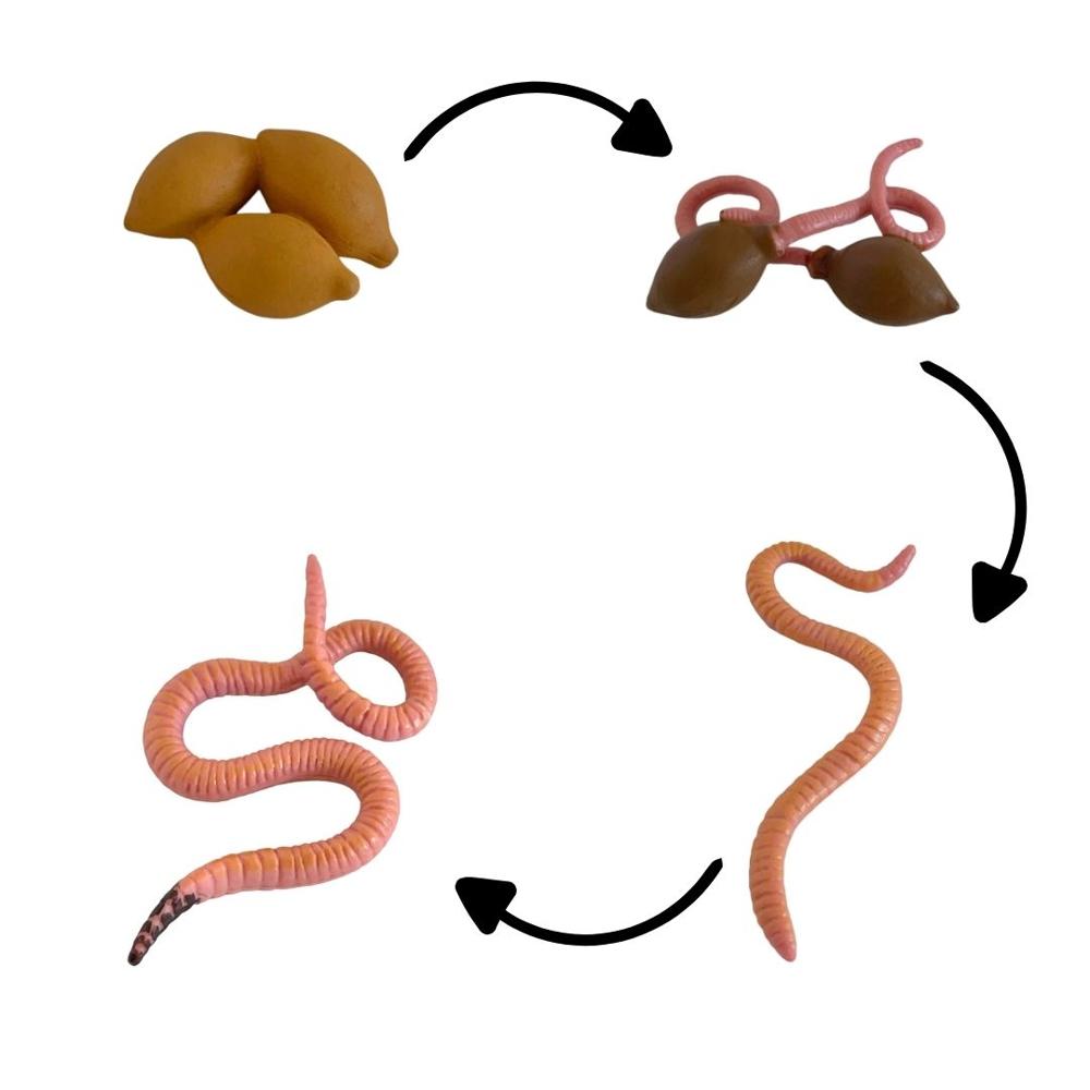 image-73317590e97643d2b147f6dc3ceb34bb image-73317590e97643d2b147f6dc3ceb34bb