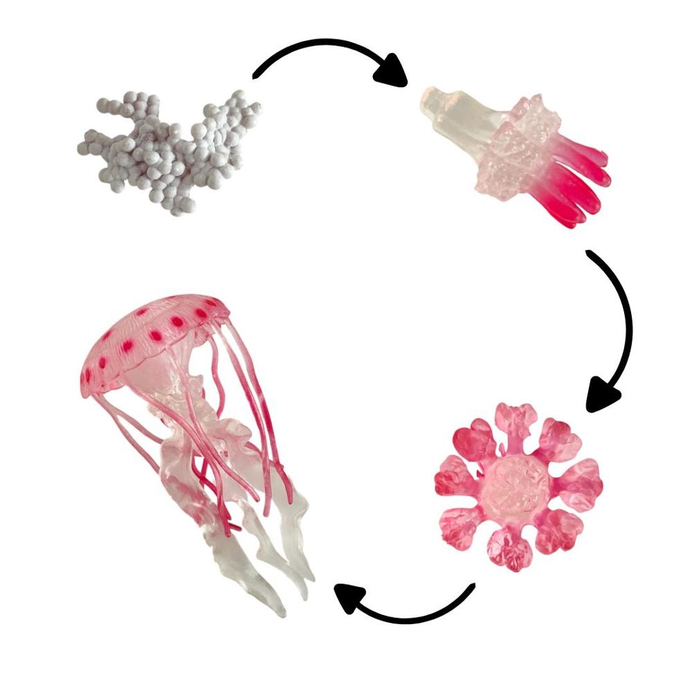 image-e96390e10dbd4d2d8c7e8dcf160fc86d image-e96390e10dbd4d2d8c7e8dcf160fc86d