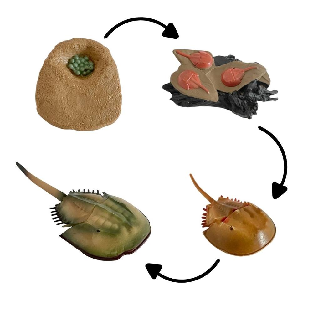 image-d0c4222a627e4d458a2e6ae977ed8f01 image-d0c4222a627e4d458a2e6ae977ed8f01