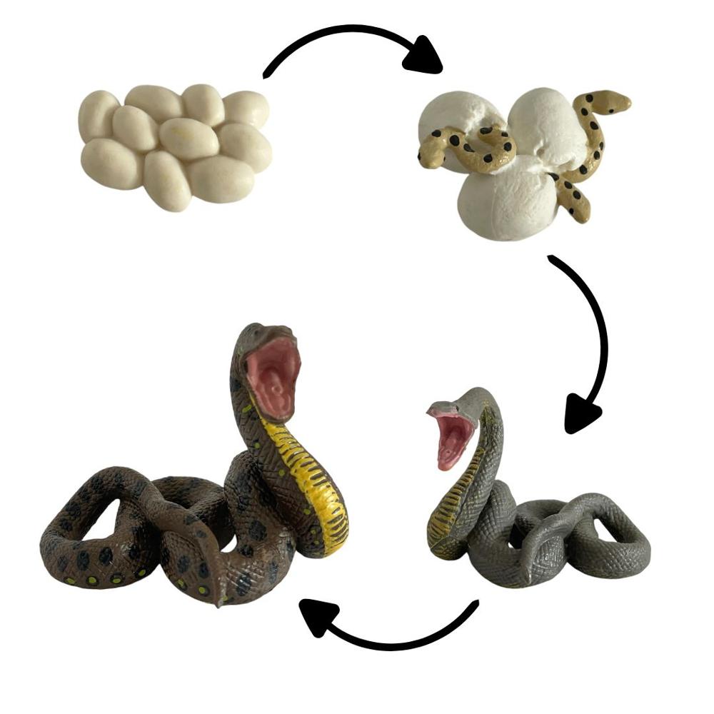 image-03d2c6a066b84a62ac8cd0933b34d757 image-03d2c6a066b84a62ac8cd0933b34d757