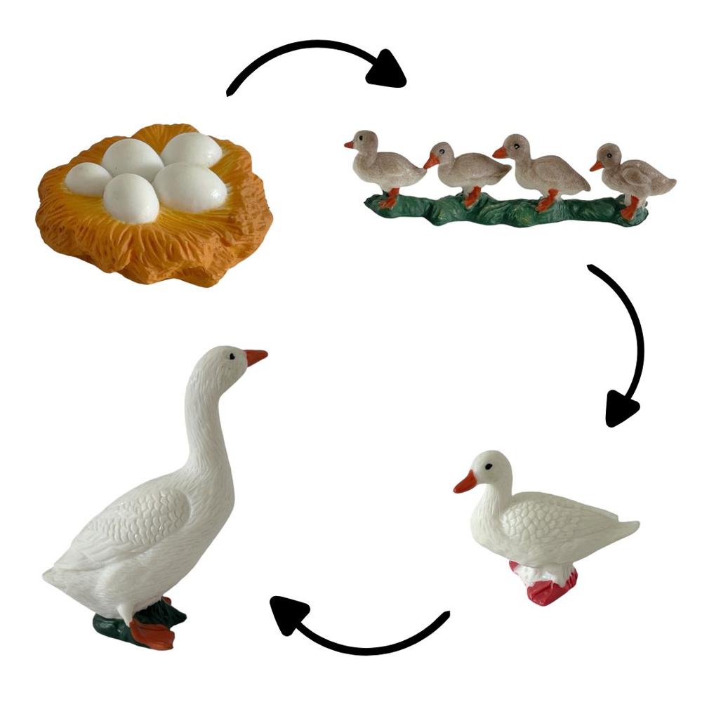 image-04241f9334764c4aa7752419d39062ce image-04241f9334764c4aa7752419d39062ce