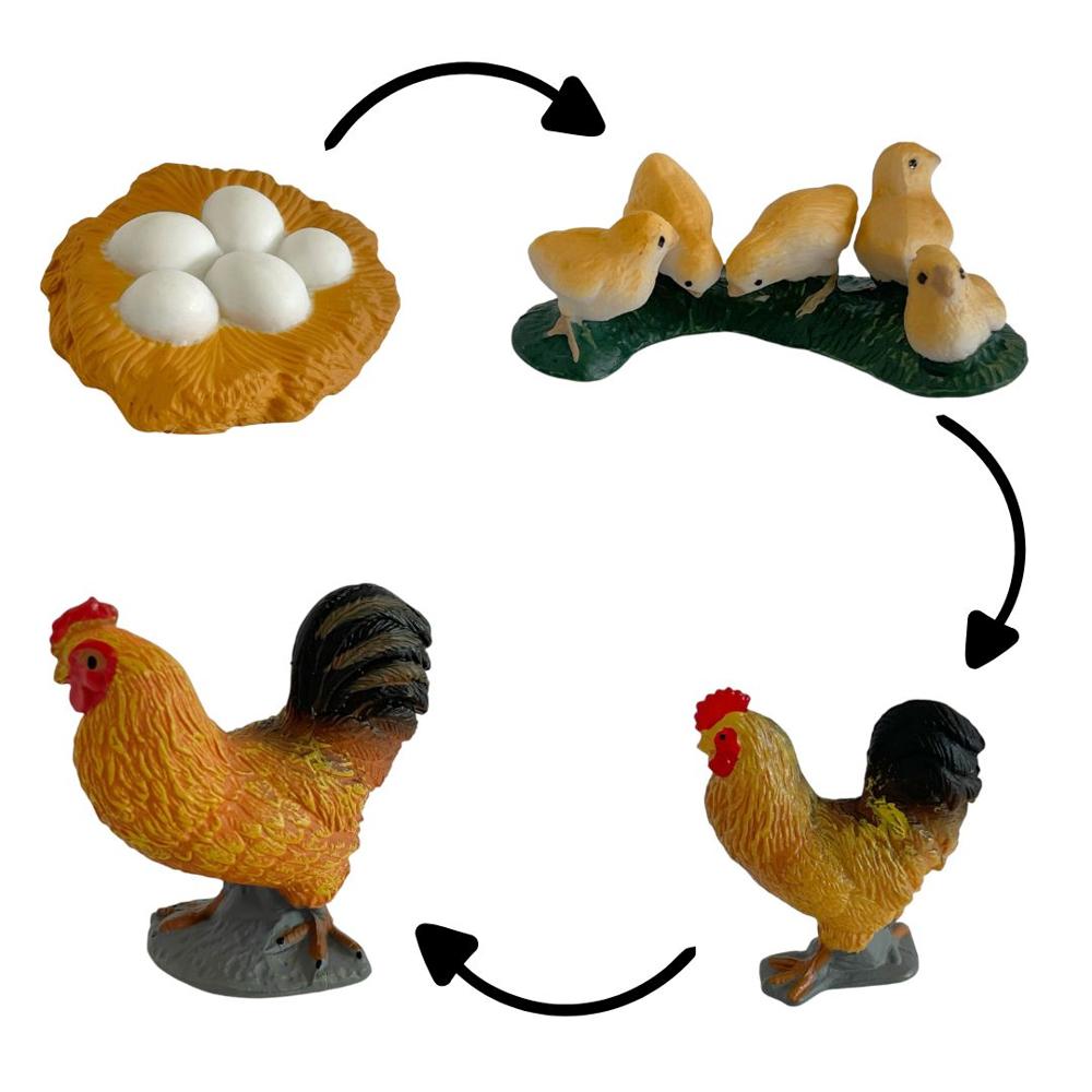 image-b4e1aa6bfcc94e209bf2a84c37937481 image-b4e1aa6bfcc94e209bf2a84c37937481