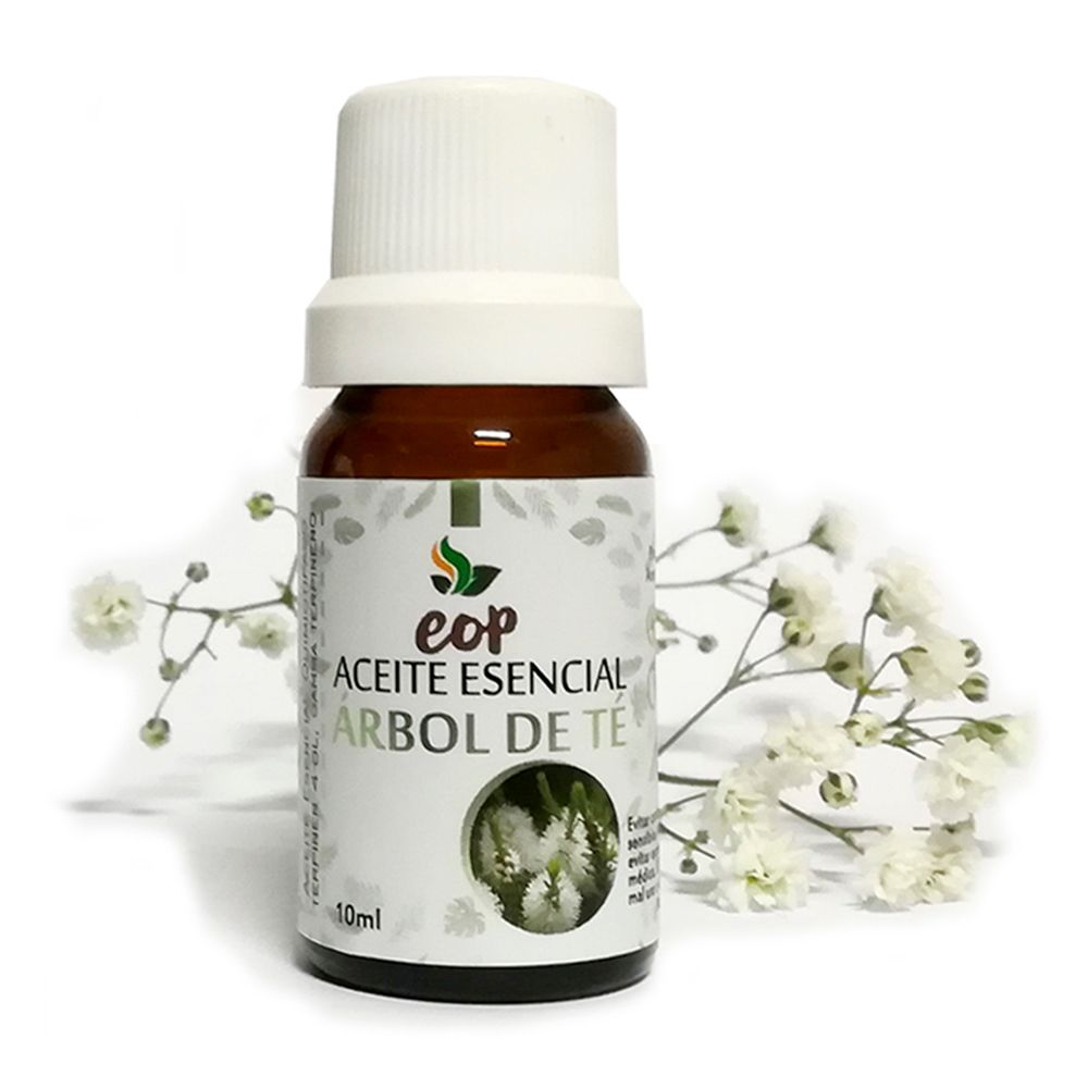 image-8474e667ba5b4397bba5b2fa3b2c51d3 image-8474e667ba5b4397bba5b2fa3b2c51d3