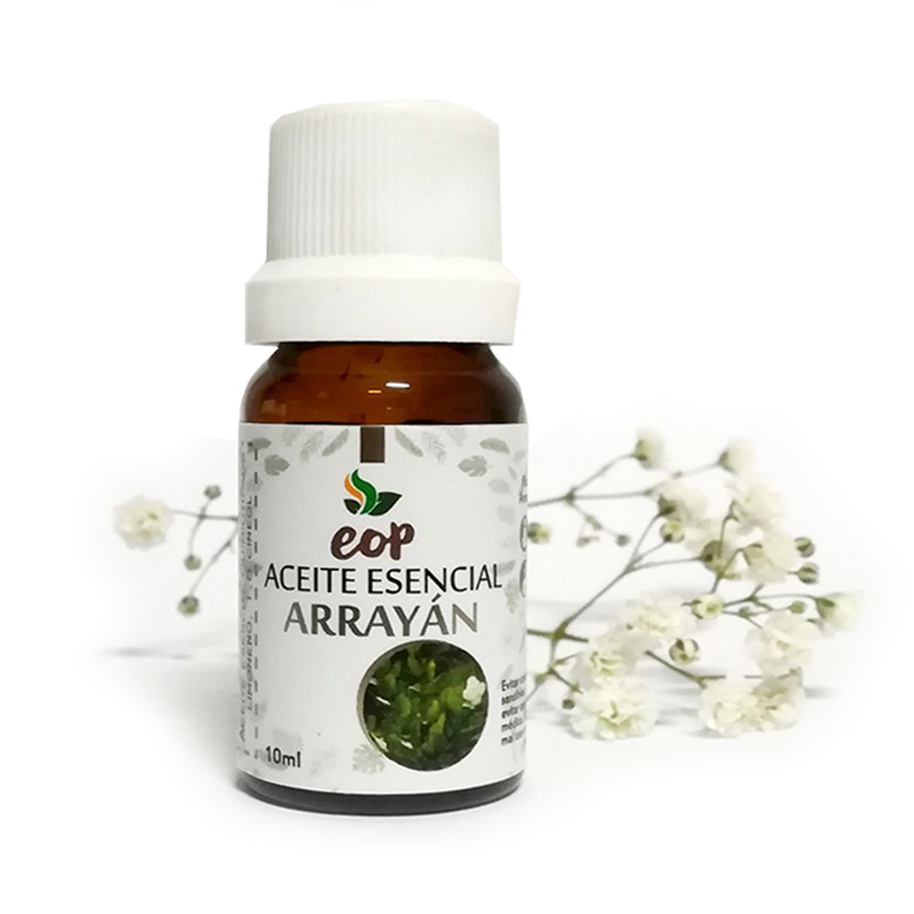 image-f80e206edd2f47c4a3585b887305b096 image-f80e206edd2f47c4a3585b887305b096