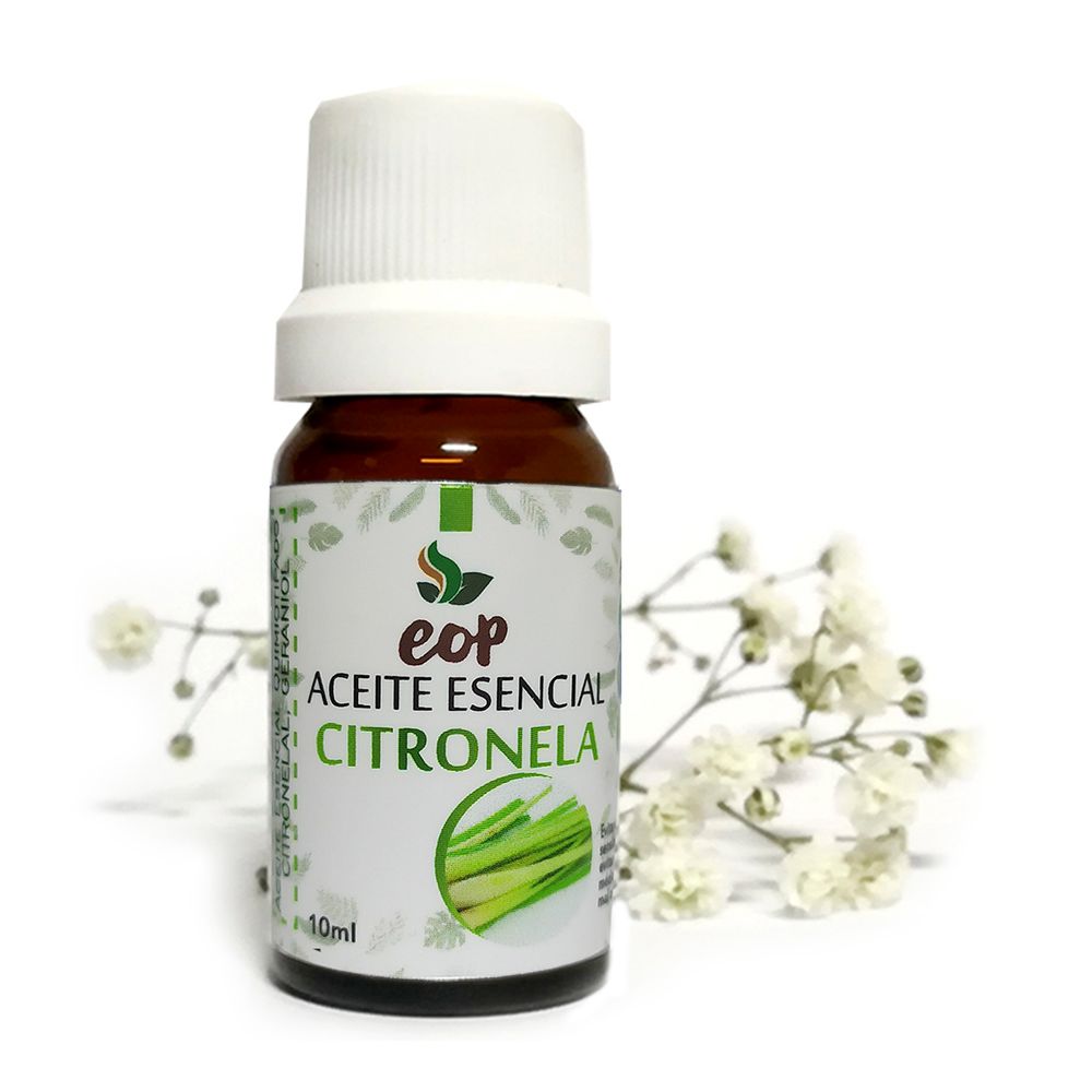 image-3bbac92e3e7b4b9bbcc86be5a721e96b image-3bbac92e3e7b4b9bbcc86be5a721e96b