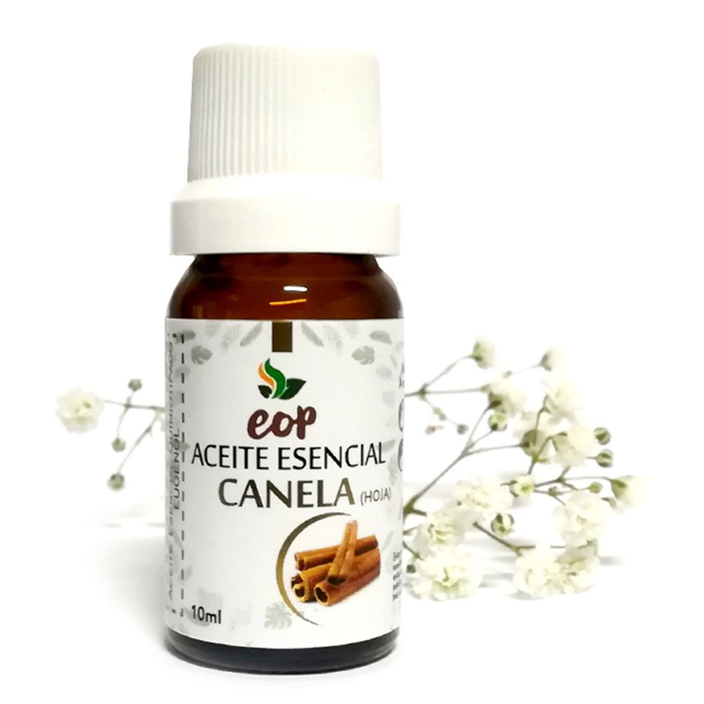 image-7721bd9ba75b4e68a9713938ade62286 image-7721bd9ba75b4e68a9713938ade62286