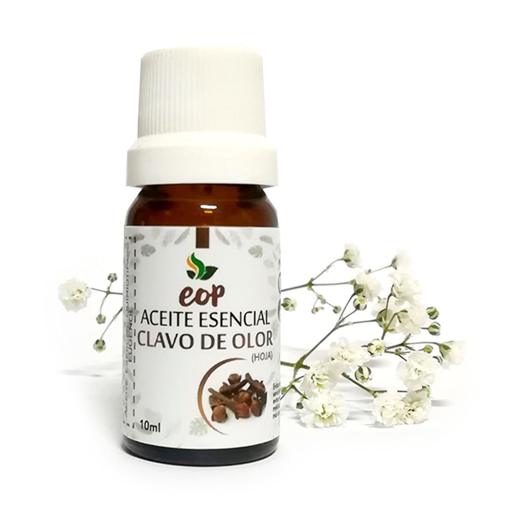 image-daf9e454481040318fa6dc5be68f9dd3 image-daf9e454481040318fa6dc5be68f9dd3