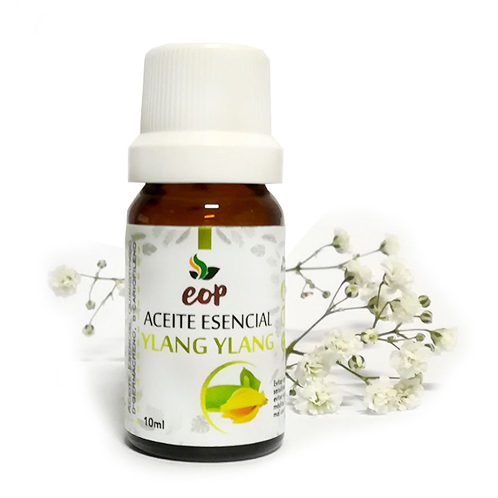 image-a5c4c000a3a143b493c477e966fab2d8 image-a5c4c000a3a143b493c477e966fab2d8