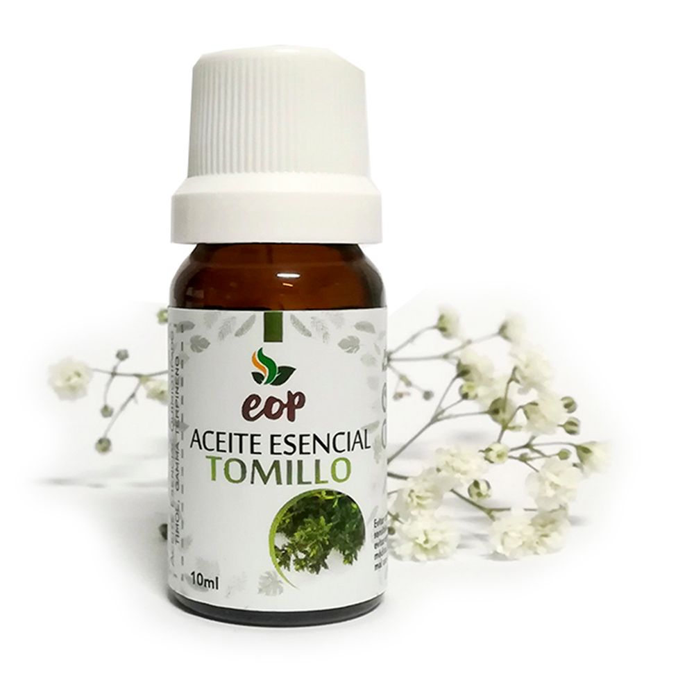 image-a126468d0071492fa2e6c54a272e9a46 image-a126468d0071492fa2e6c54a272e9a46