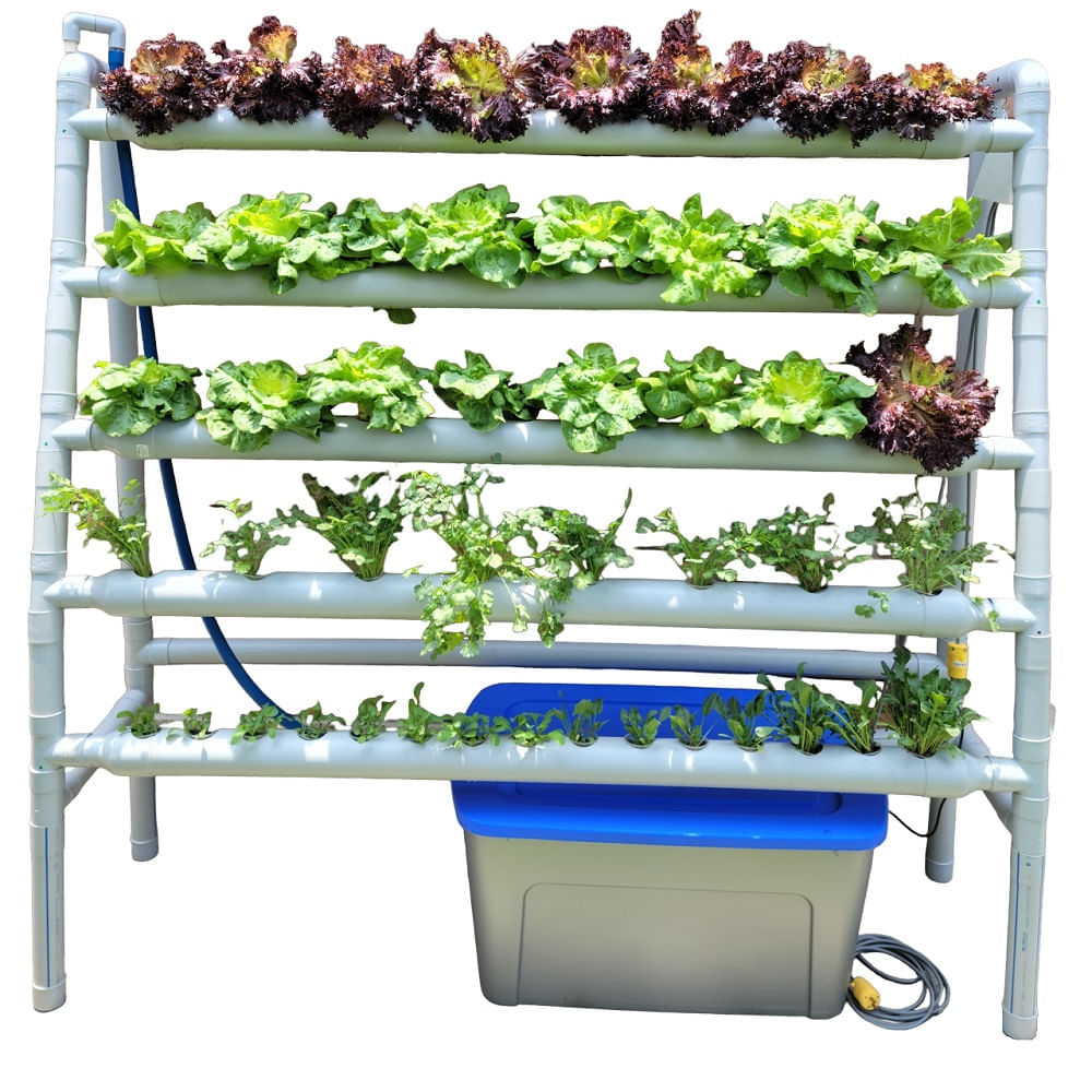 imageUrl-1 imageUrl-1