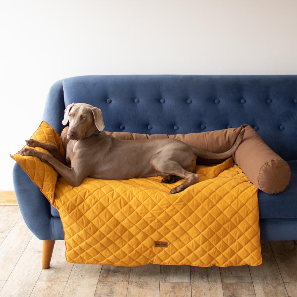 image-9d40e401975f466f888770481a1477a2 image-9d40e401975f466f888770481a1477a2