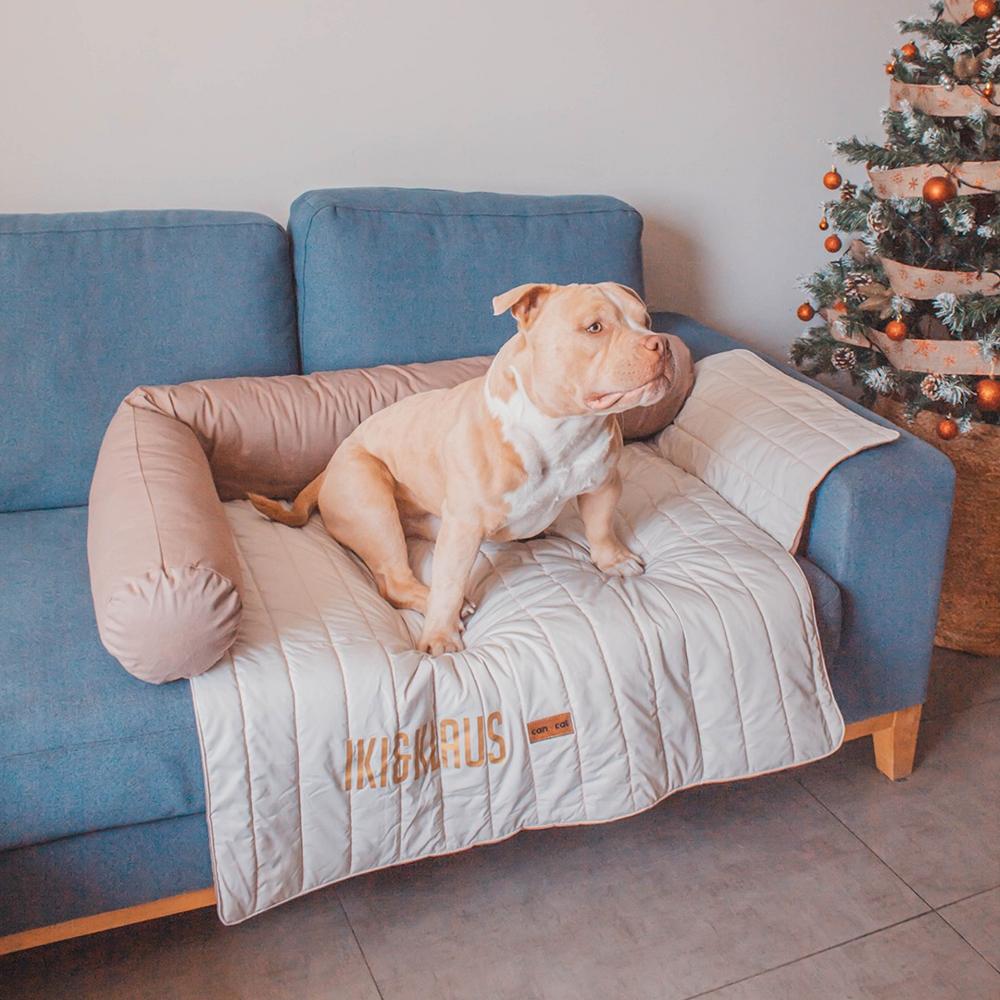 image-c51d5423cac74ee89dd90fff7b91d243 image-c51d5423cac74ee89dd90fff7b91d243