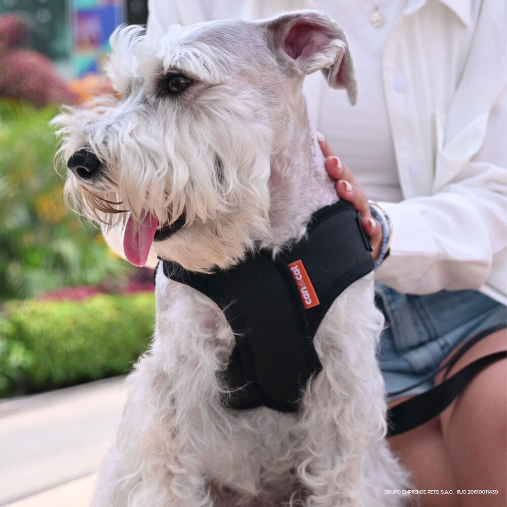 image-2a794bc3a8104b67a5e7b6994dc9ea79 image-2a794bc3a8104b67a5e7b6994dc9ea79