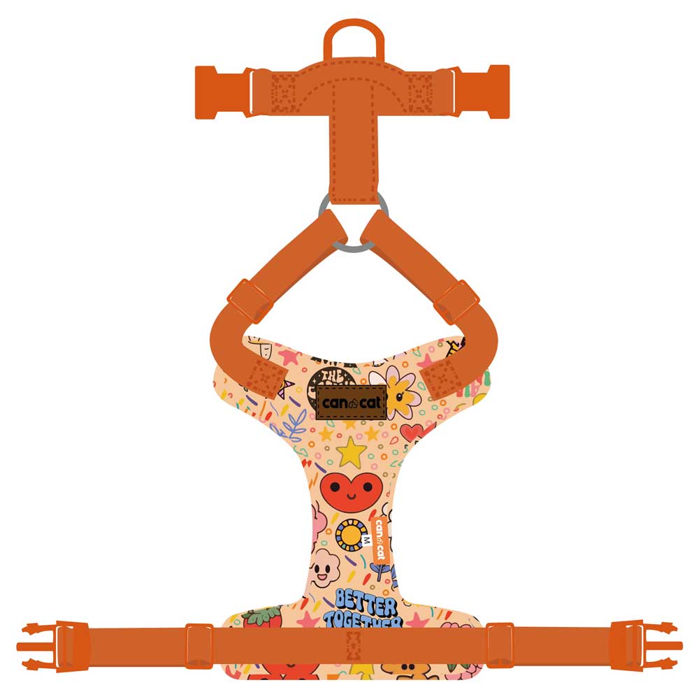 image-c357ad073bfa42549f2028992ae8660b image-c357ad073bfa42549f2028992ae8660b