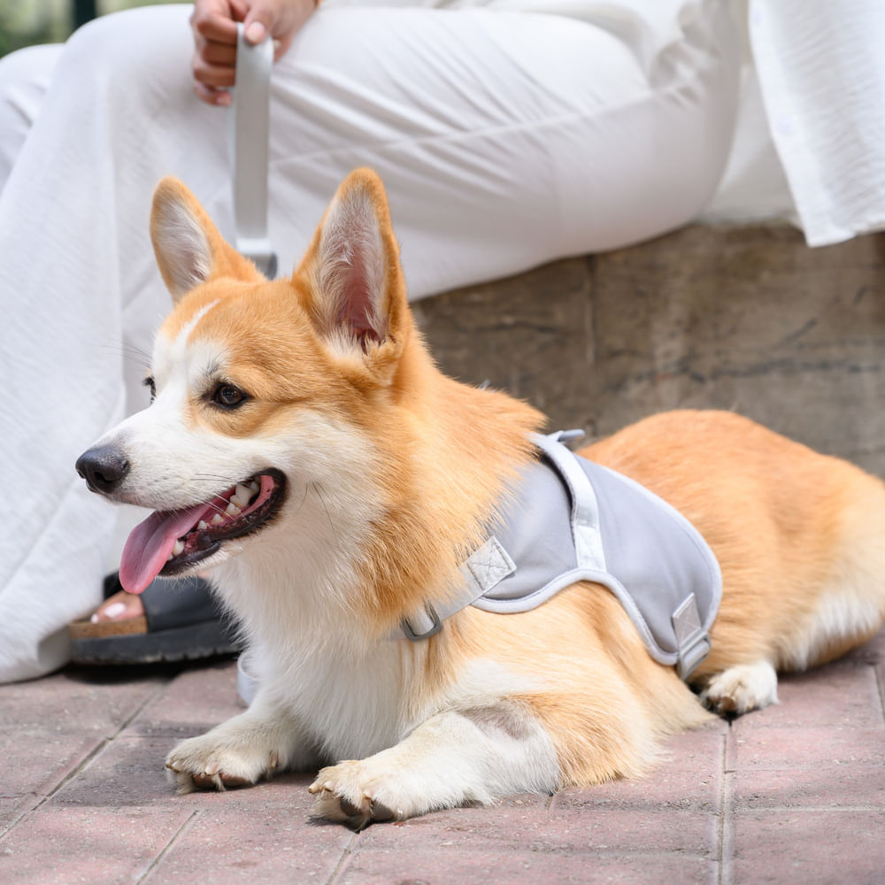 image-57531c4c2f3846bdb748d1d89de97aa1 image-57531c4c2f3846bdb748d1d89de97aa1