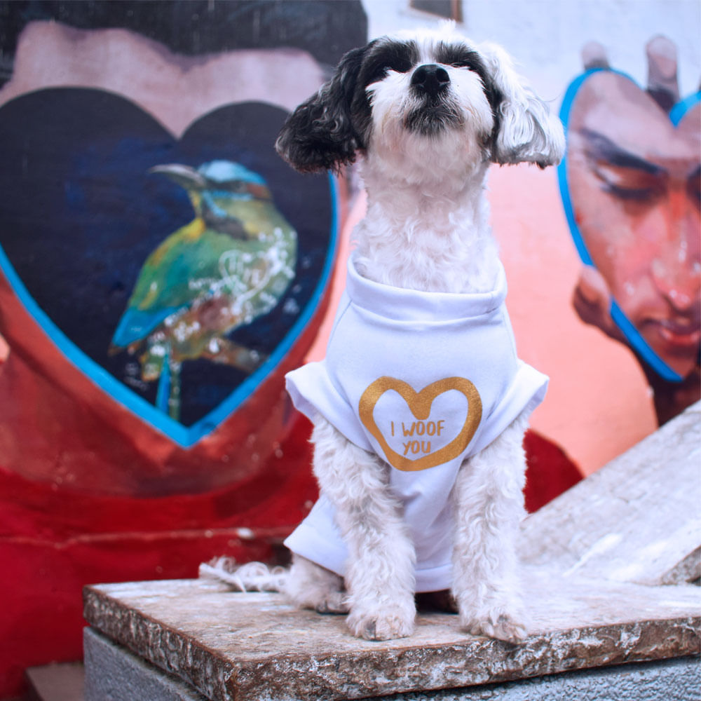 image-fd2e7bda831c4dcf8d133dfe9f2b858c image-fd2e7bda831c4dcf8d133dfe9f2b858c