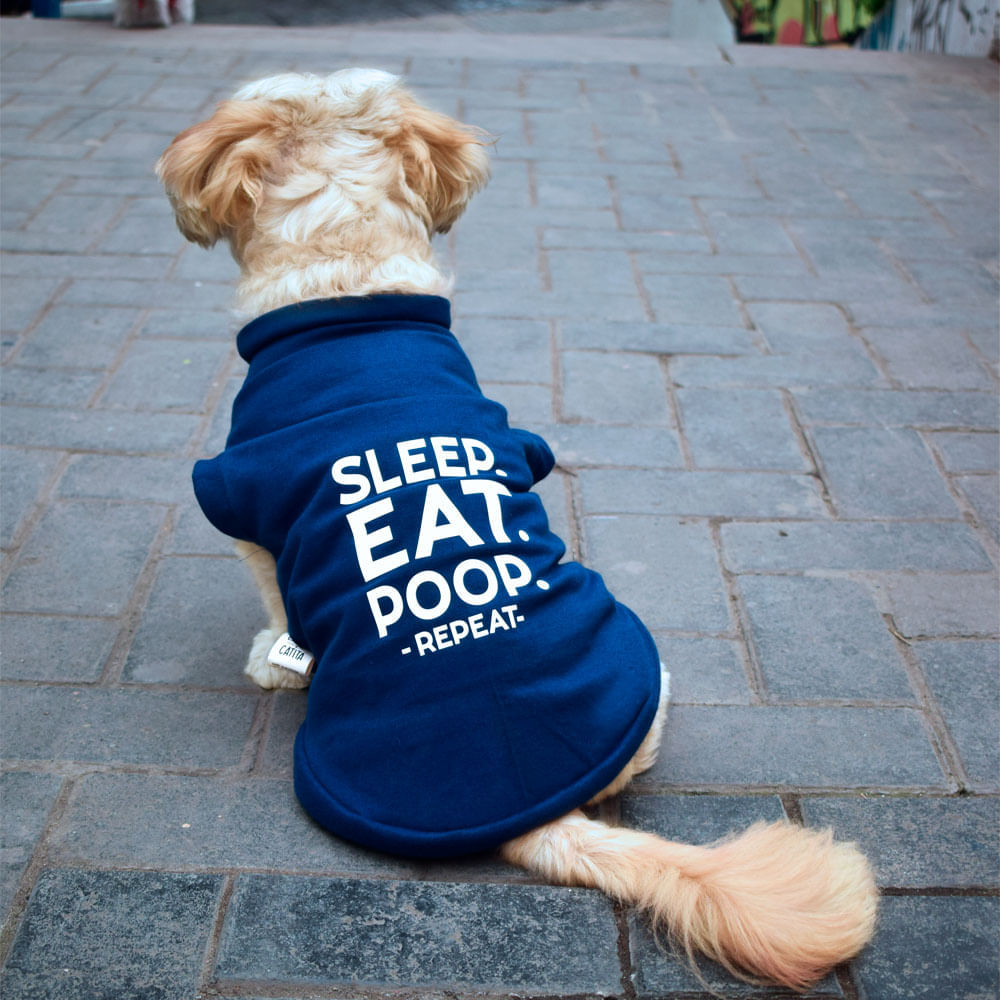 image-1d972a5c40bd4de983f2f2be2bbdaebe image-1d972a5c40bd4de983f2f2be2bbdaebe