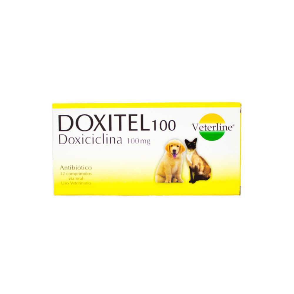 image-1737d770991b4f0a8aced6f2841cc2ac image-1737d770991b4f0a8aced6f2841cc2ac