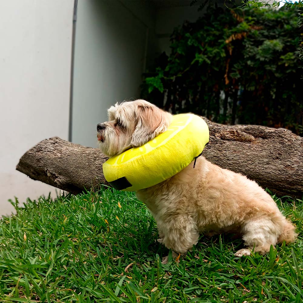 image-c2ab8c8e2b924caa87225b99f64d919d image-c2ab8c8e2b924caa87225b99f64d919d