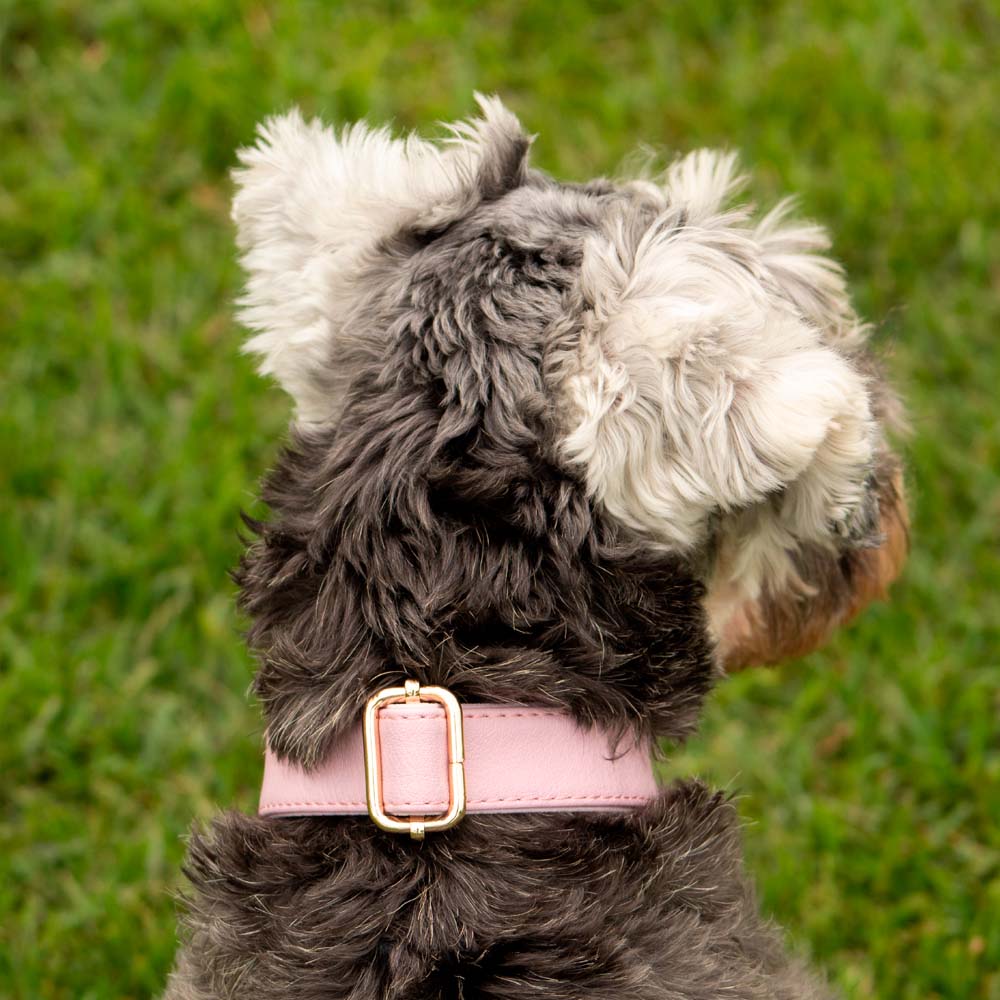 image-2a3af3104c2145e5abb404aebbae58db image-2a3af3104c2145e5abb404aebbae58db