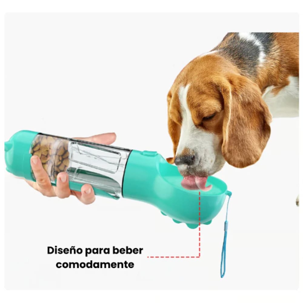 image-61c029db49344f66943df63ed0506490 image-61c029db49344f66943df63ed0506490