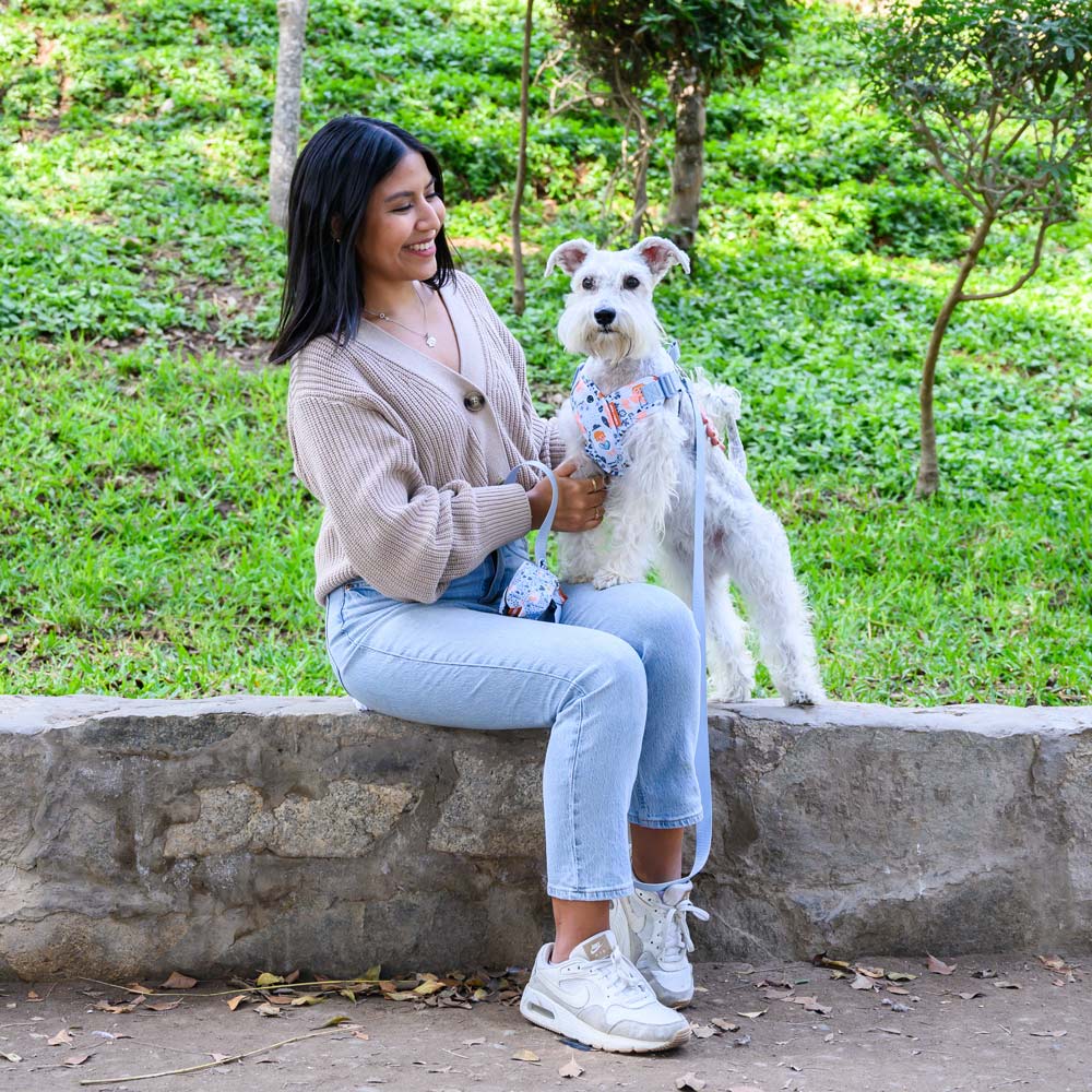 image-3dbb4272f43f4e5494e9d4930df5821c image-3dbb4272f43f4e5494e9d4930df5821c