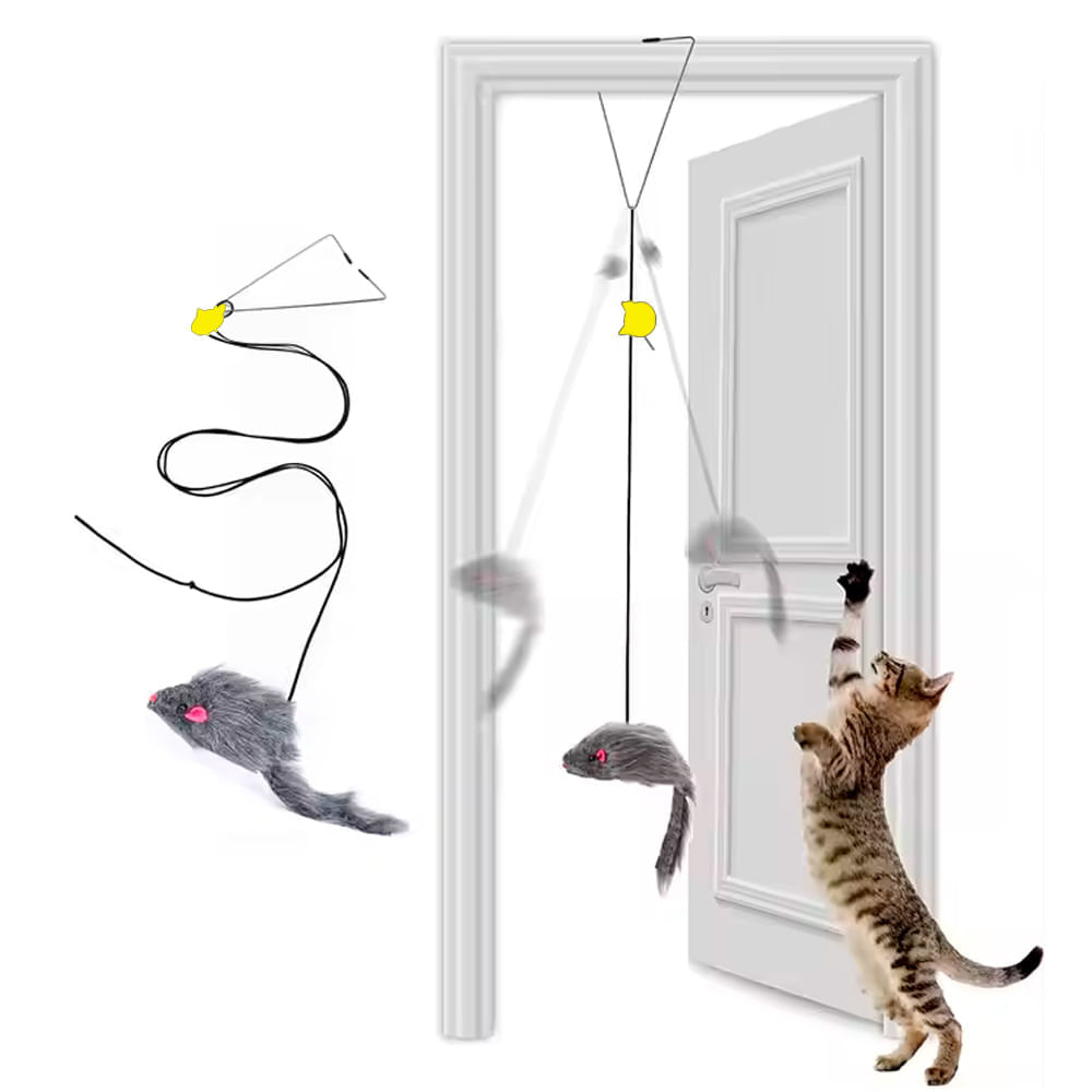 imageUrl_1 imageUrl_1