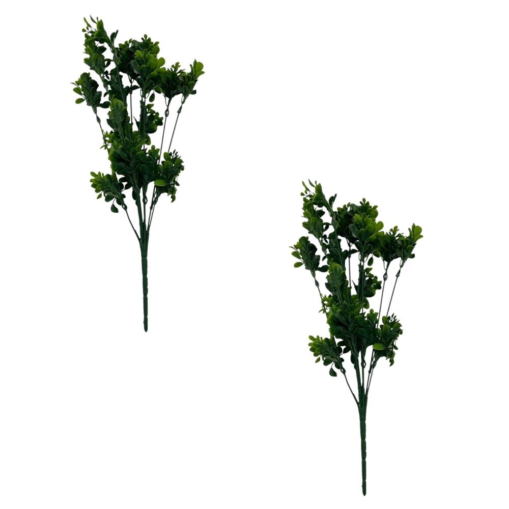 Pack de 2 Ramas de Ruda 00123
