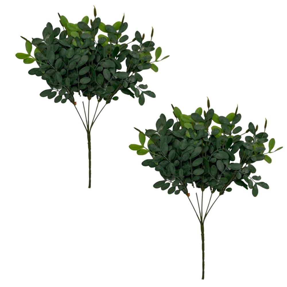 Pack de 2 Ramas de Hojas de Sophorae 00091 FLORIPASTORE