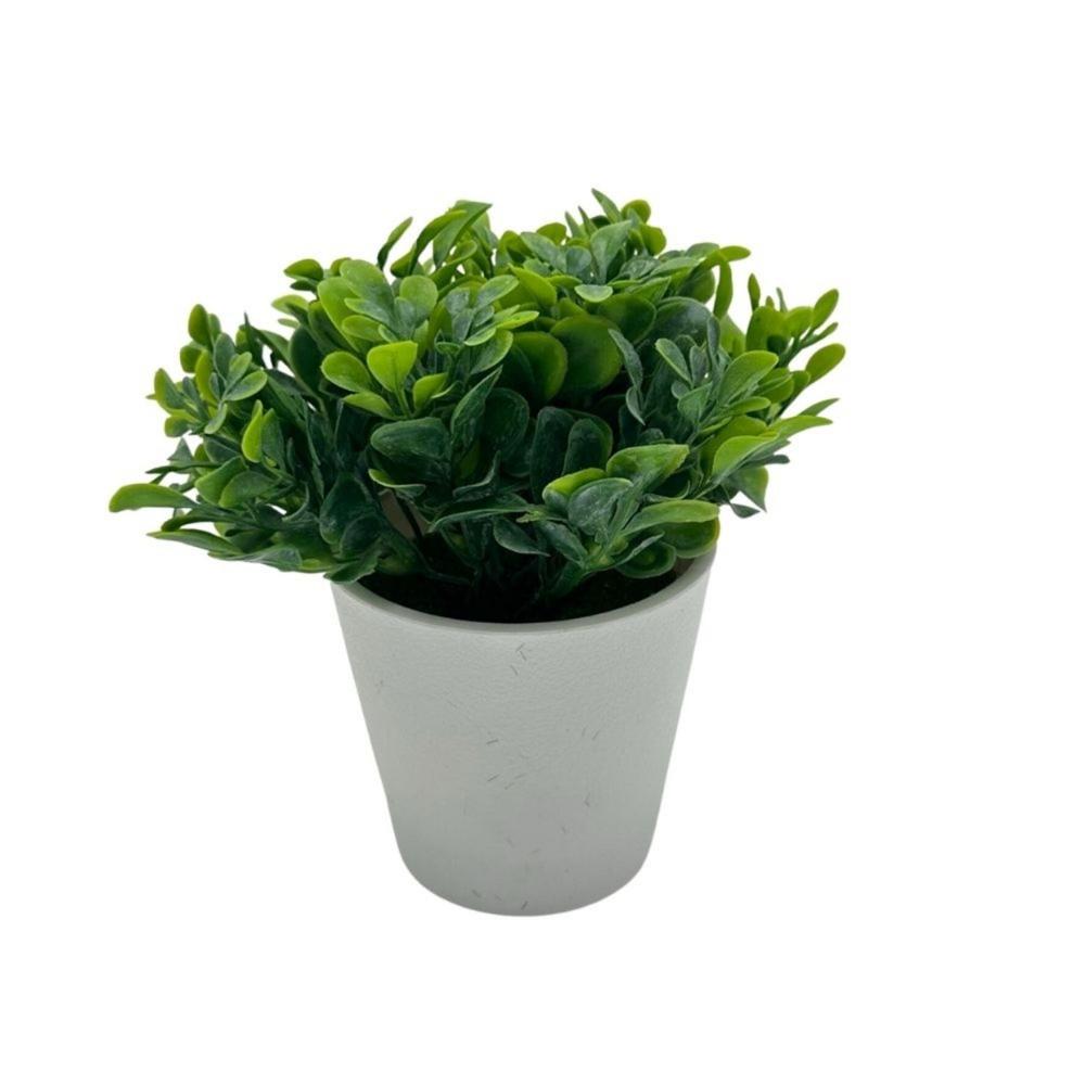 Florero de Ruda de 15cm 00129-1 FLORIPASTORE
