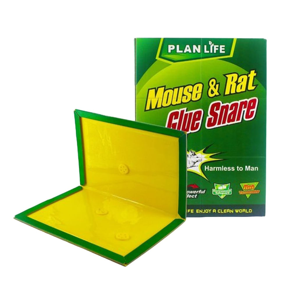 Trampa para Ratas Ratones Pericotes Pegamento Adhesivo X 5 Und