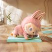 imageUrl_5