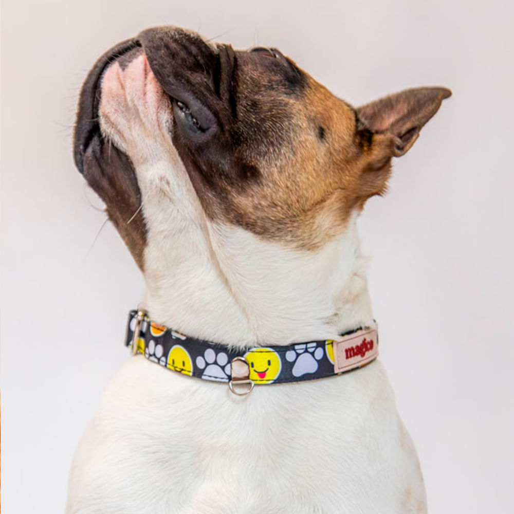 imageUrl_1 imageUrl_1