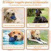 imageUrl_5