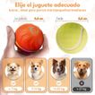 imageUrl_4