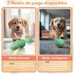imageUrl_2