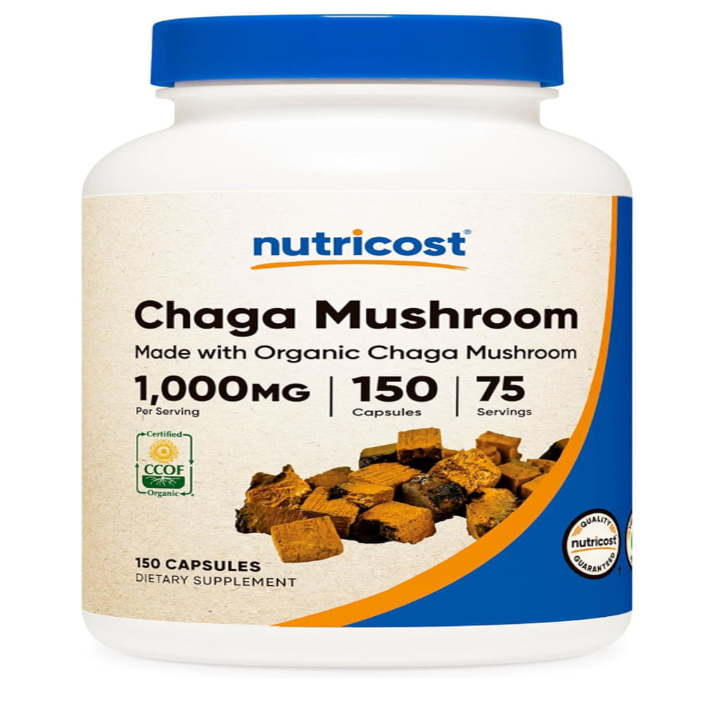 Hongo Chaga Mushroom Inonotus obliquus