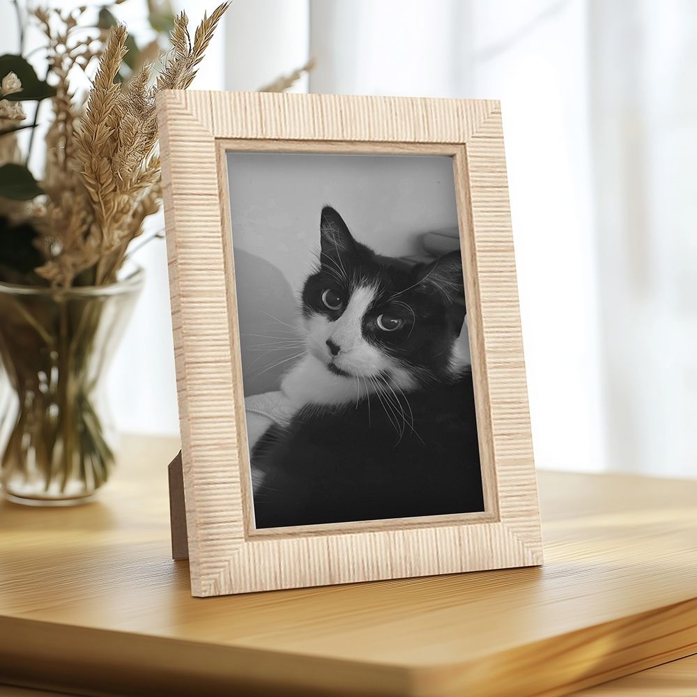 image-6bf37efde9ac49cb82690d52154b8362 image-6bf37efde9ac49cb82690d52154b8362