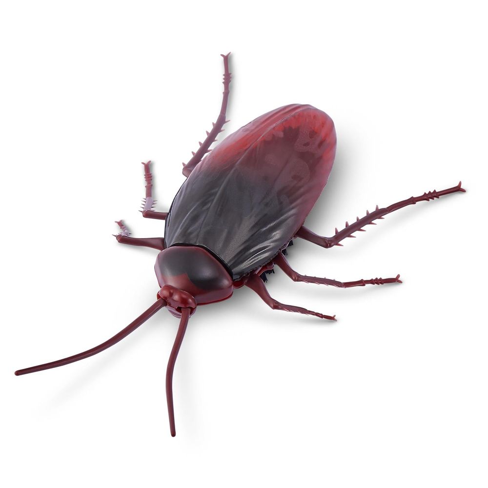 Robot Cucaracha Robo Alive